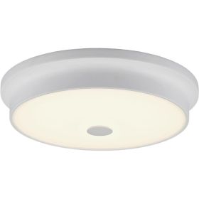 Настенно-потолочный светильник Citilux Фостер-2, белый CL706230 (артикул 16191680) – фото 1
