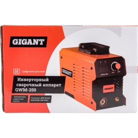 Инверторный сварочный аппарат Gigant GWM-250 (артикул 25299843) – фото 2