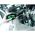 Набор отверток Wera, Kraftform Plus Lasertip с подставкой, 6 предметов, WE-105622 (артикул 14981834) – фото 3