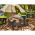 Поддон для инструментов Ryobi Link RSL104 5132006075 (артикул 26088863) – фото 7