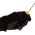 Отвертка KRAFT TORX Т8*60 KT 700437 (артикул 15965849) – фото 5
