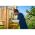 Бесщеточная дрель-шуруповерт Ryobi ONE+ R18DD5-0 5133003596 (артикул 15779926) – фото 2
