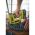 Аккумуляторный степлер Ryobi R18ST50-0 5133004496 (артикул 15945483) – фото 5