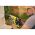 Перфоратор Ryobi ONE+ R18SDS-0 5133002305 (артикул 15505208) – фото 3