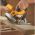 Дисковая пила DeWALT DWE 575 K (артикул 15260818) – фото 3