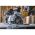 Циркулярная пила DEWALT 18 В XR DCS571N-XJ (артикул 16315061) – фото 4