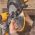Торцовочная пила DEWALT DWS 780 (артикул 14950063) – фото 11