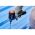 Аккумуляторный ударный бесщеточный винтоверт WORX Professional 12В, 140Нм, 2x2Ач WU132 (артикул 26513966) – фото 4