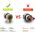 Аккумуляторная бесщеточная дрель-шуруповерт DEKO Sharker 20V 063-4037 (артикул 20359714) – фото 5