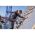 Аккумуляторная циркулярная пила Bosch GKS 185-LI (Соло) 06016C1221 (артикул 26757626) – фото 6