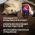 Тепловизор для смартфона INFIRAY Xinfrared T3 PRO kit fb0184 9546 (артикул 25961327) – фото 18