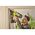 Гвоздезабиватель Ryobi ONE+ R15GN18-0 5133005297 (артикул 20236510) – фото 2